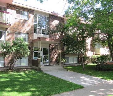 Spacious Apartment Suites Near University of Alberta - Small, safe,... - Photo 1