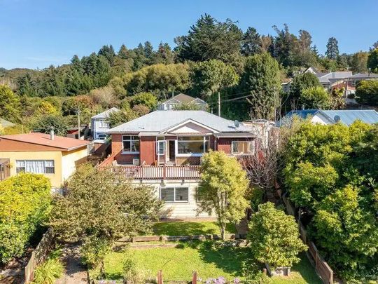 20 Manchester Street, Bradford, Dunedin - Photo 1
