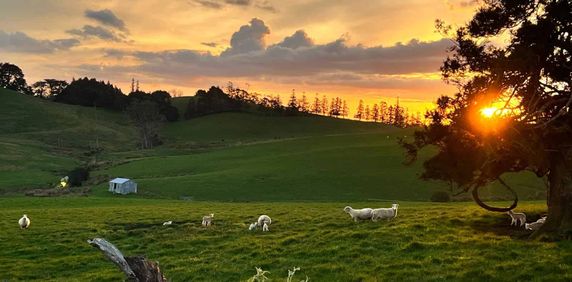 Family home with space to grow near Warkworth - Photo 2