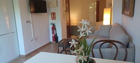 Carrer Dr. Lluch, Valencia, Valencian Community 46011 - Photo 3