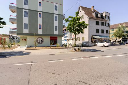 Regensbergstrasse 175 - Foto 3