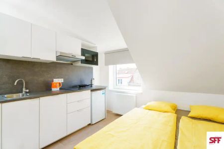 Zařízený podkrovní studio k pronájmu Praha 4 u metra Kačerov - Photo 3