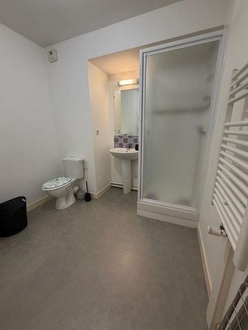 Location Appartement 1 pièce 24m² NANTES 44000 - Photo 4
