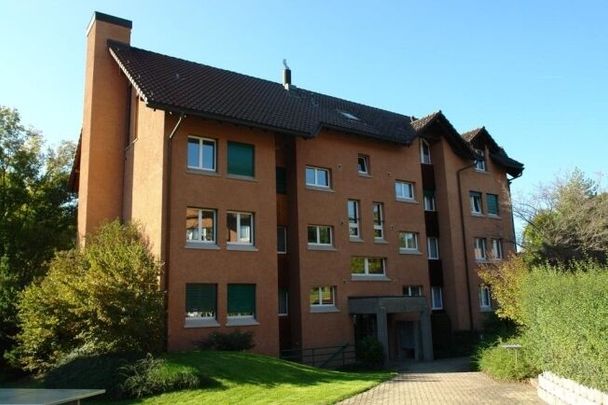 LOCATION SANS ACOMPTE - Bel appartement à Pfäffikon - Photo 1