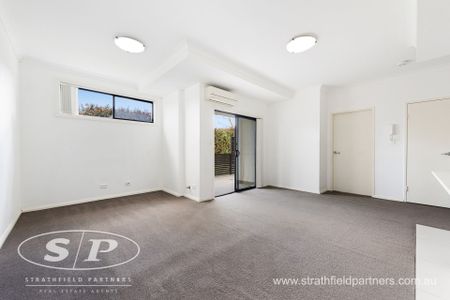 Luxurious, Modern And Huge Courtyard - Photo 5