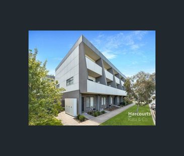 8 Andover Lane, Craigieburn, Vic 3064 - Photo 6