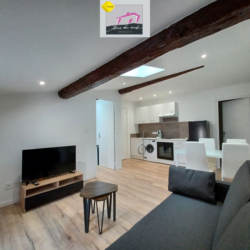 Location Appartement 1 pièce 29m² LEZIGNAN CORBIERES 11200 - Photo 1