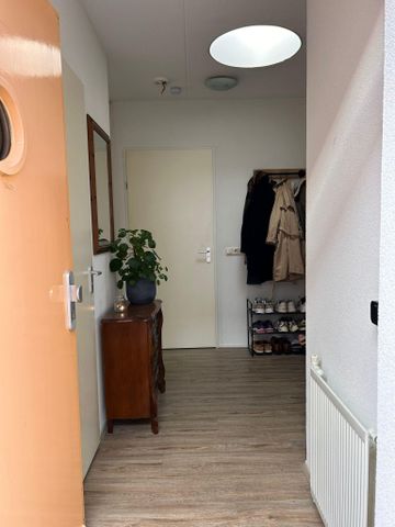 Maagjesbolwerk - Foto 2