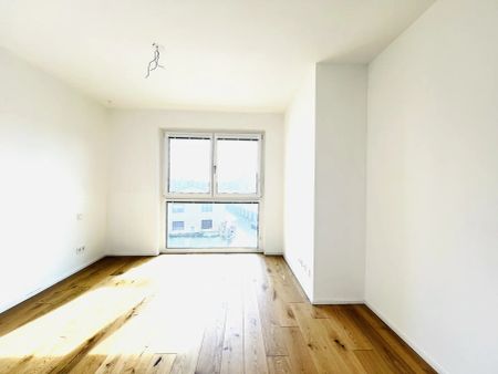 Q11 - Charmante 2-Zimmer-Wohnung – Wohnen nahe der Traisen & City - Foto 2