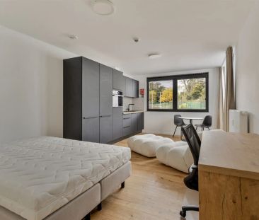 Luxueus studeren stadsrand Leuven! - Photo 6