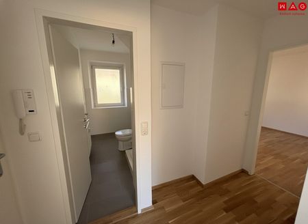 Sonnendurchflutete 2-Zimmer-Wohnung mit herrlichem Grünblick im beliebten Münichholz – liebevoll saniert, mit modernem Wohlfühlbad, praktischen Wohnräumen und perfekter Anbindung für alle, die Ruhe und Stadtnähe zugleich schätzen! - Foto 3