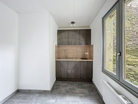 Appartement 1 chambre(s) à louer - Montbéliard - Photo 2