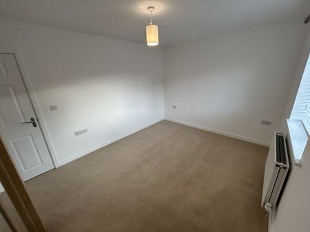 Cedar Close - Photo 4