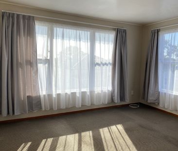 Tidy unit close to Napier CBD - Photo 3