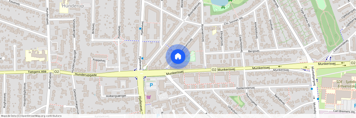 Oppermannsvej 16, 2. tv, 5230 Odense M