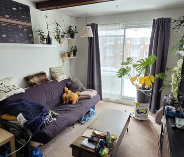 885 Monseigneur-Grandin - Photo 6