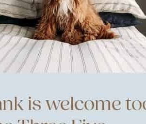 Welcome home to OneThreeFive Victoria Street - Photo 4