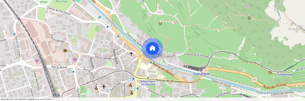 1860, Aigle, Rue De La Fontaine, 17