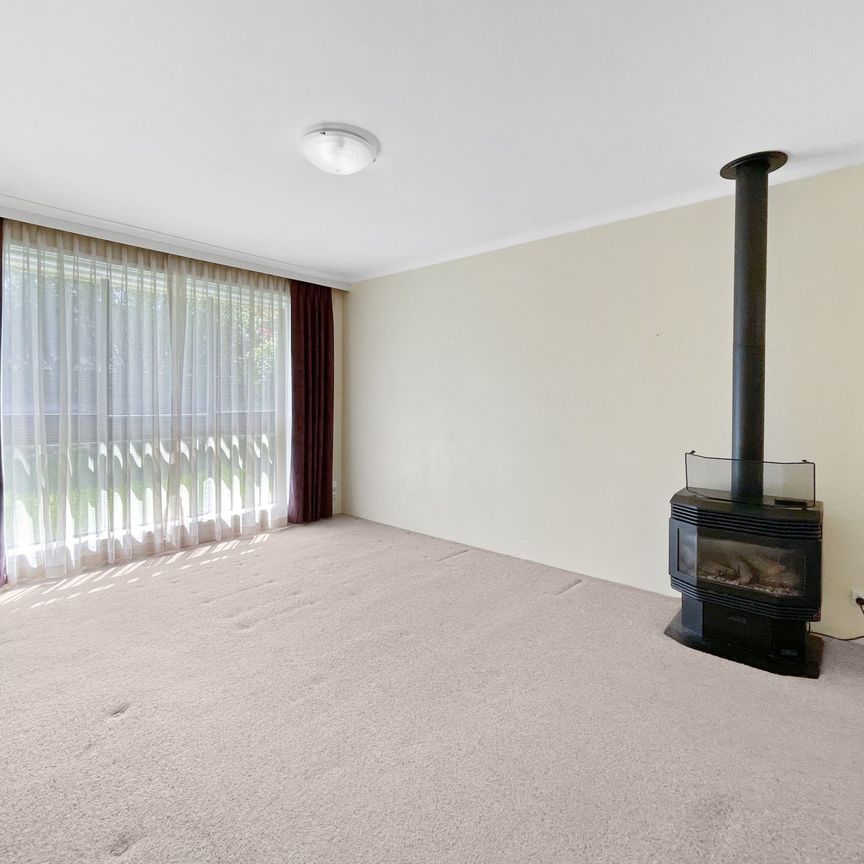 6/115 Albert Street, Ballarat Central - Photo 1