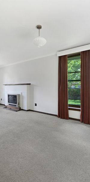 Charming Family Home with Private Backyard - Photo 1