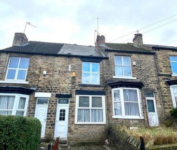 3 bedroom house share to rent - Photo 6