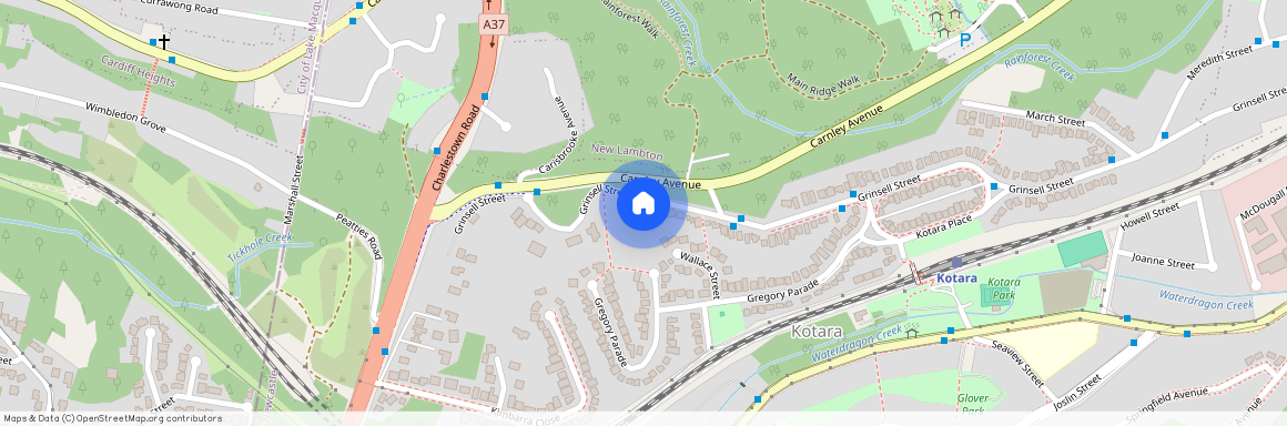 177 Grinsell Street, Kotara