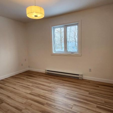 🏡 À LOUER – Superbe 4 ½ à St-Majorique - Photo 3