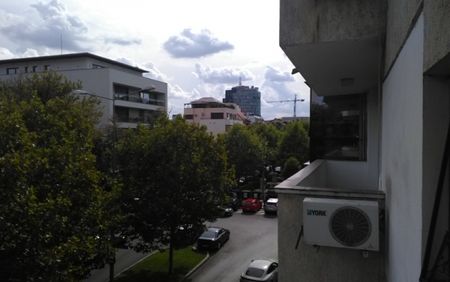 Apartament 5 camere Primaverii - Fotografie 4