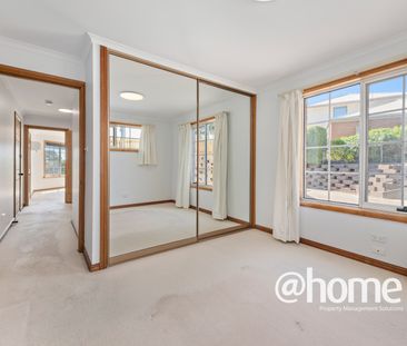 Sunny and Spacious - Photo 4