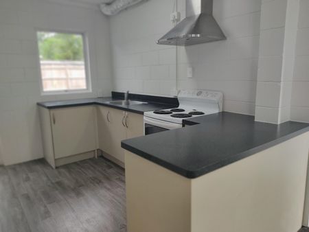 Refurbished family home - Otumoetai - Photo 5