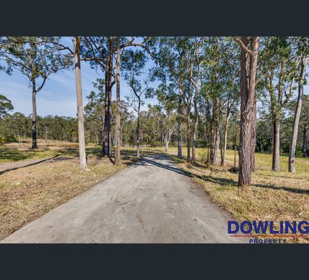 556 Limeburners Creek Road, Clarence Town, NSW 2321 - Photo 1