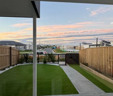 Palmview - Photo 2
