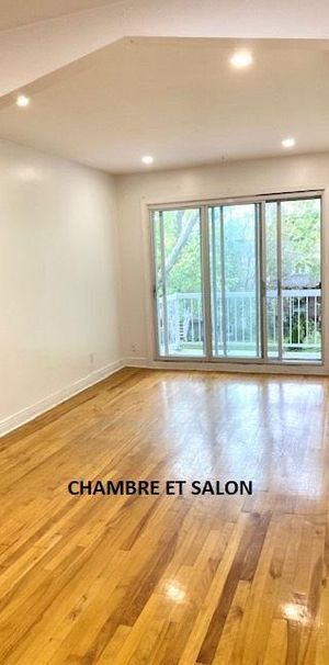 Logement 1 chambre près de Honoré Beaugrand - Photo 1