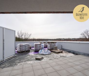 Dachterrasse und Loggia: 3-Zimmer-Wohnung mit viel Platz! (kein WBS, kein Jobcenter) - Foto 6