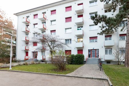 Nähe Gartenbad Bachgraben - schöne 3-Zimmerwohnung in ruhiger Seitenstrasse - Foto 4