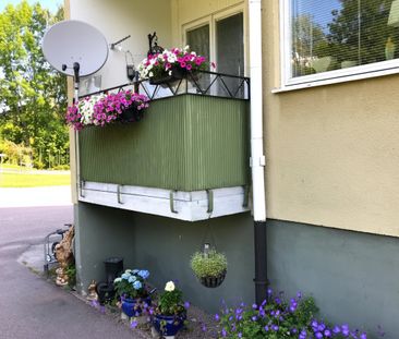 Avesta Hede: Tvåa i markplan - Foto 3