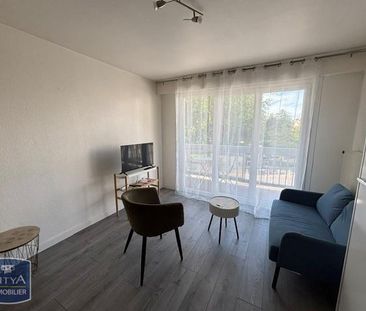 Location Appartement 1 pièce 29m² ANNEMASSE 74100 - Photo 3
