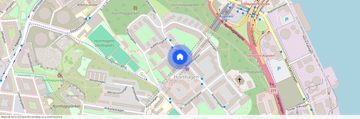 Artemisgatan 21, Hjorthagen