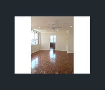 Renovated Unit! - Photo 1