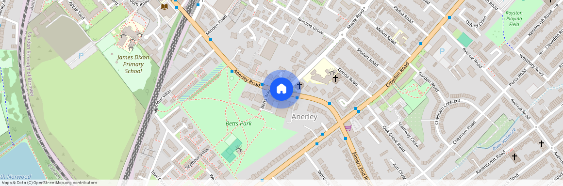 Anerley Road, London, SE20 8TJ