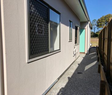 2 Bedroom Dualocc RENT TO INCREASE TO $480PW FROM 19/9/26 - Photo 5