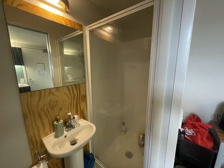 Mezzanine apartment in central Wellington - Photo 3