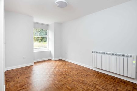 1 Bedroom Apartment | Available 02-12-2024 - Photo 2