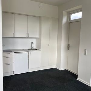 Dejlig 1-værelses lejemål i Ringe - Foto 2