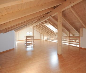 Grosse Wohnung plus 50m2 Galerie - Foto 4
