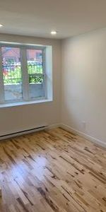 4.5 - BOIS FRANC-CERAMINQUE-ELECTROS-METRO CREMAZIE-JARRY-RENOVÉ-CONCEPT OUVERT-ÉCLAIRÉ-PLANCHER BOIS FRANC-TERRASSE - Photo 3