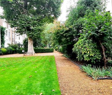 Holland Road, London - Photo 3