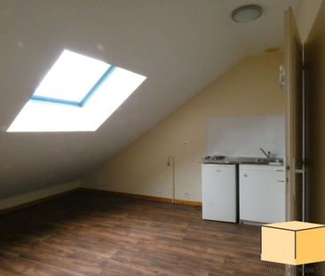 Location Appartement 1 pièce 24m² BELLEY 01300 - Photo 5