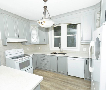 For Lease - 81 Florence Avenue, Kitchener, Ontario - Photo 6