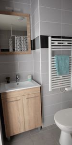 Location Appartement 1 pièce 25m² ISLE 87170 - Photo 3